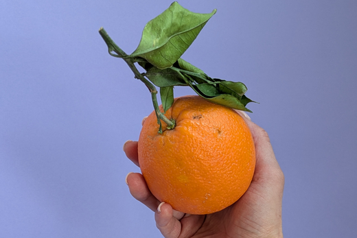 The Sunny Scent of Sweet Orange Essential Oil