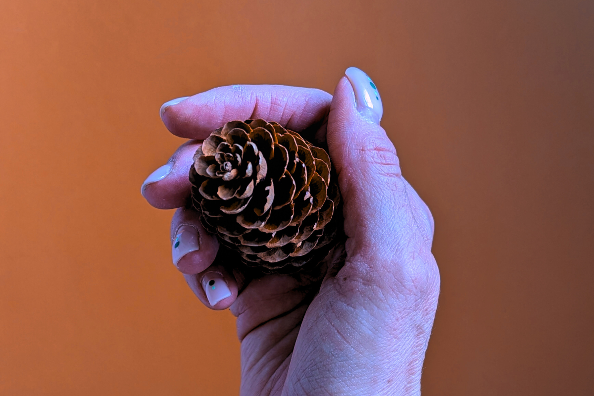 Cedarwood: the protector essential oil