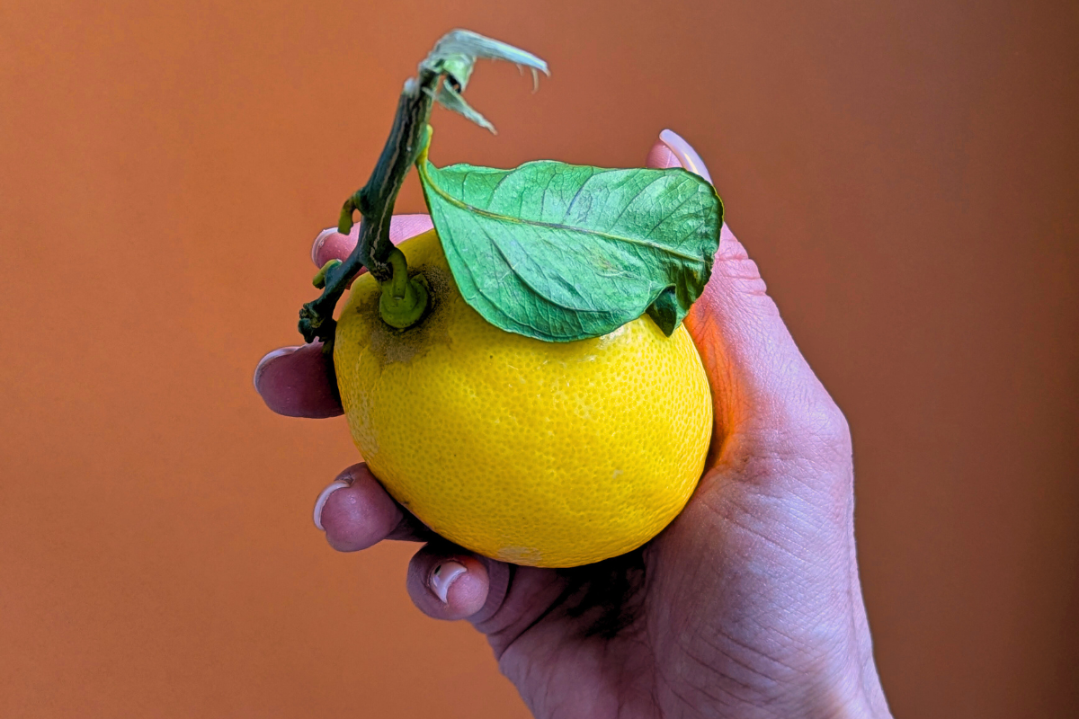 Brighten Your Day, Naturally with Lemon Essential Oil